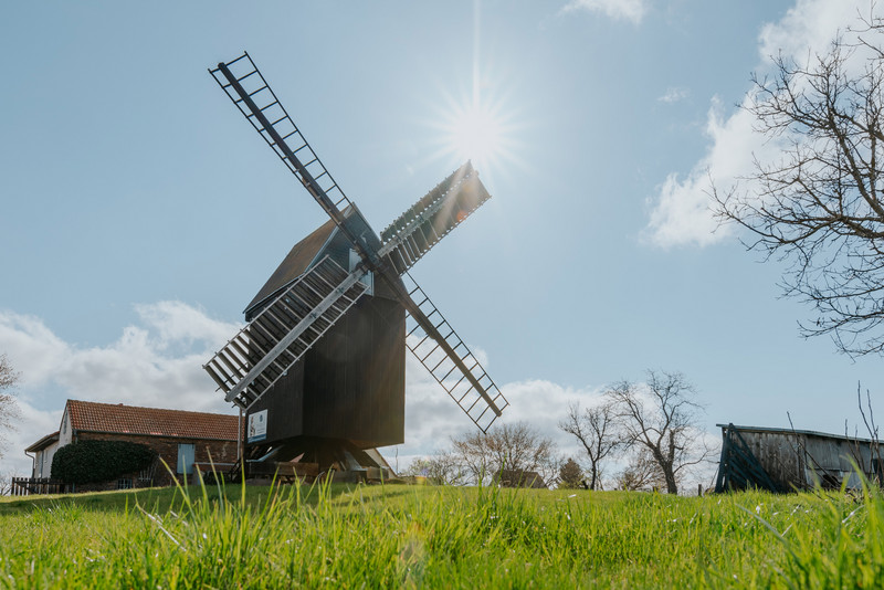 Das Bild zeigt die Bockwindmühle, die leicht erhöht auf einem Hügel steht.