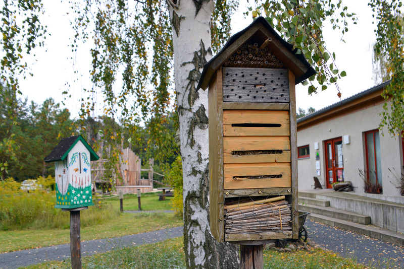 Artikel über das Waldhaus am Bergwitzsee