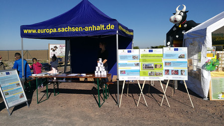 Informationsstand in Groß Santersleben