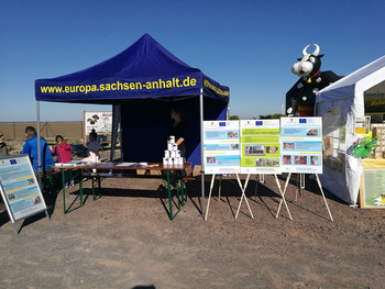 Informationsstand in Groß Santersleben