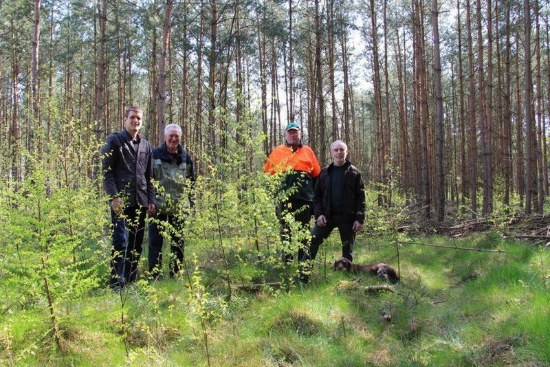 Das Bild zeigt Gordon Preetz, sein Großvater Sigurd Mansfeldt, Wolfgang Schulz, Vorsitzender der Forstbetriebsgemeinschaft, und Revierförster Frank Hader, wie sie gemeinsam die wiederaufgeforsteten Flächen begutachten.