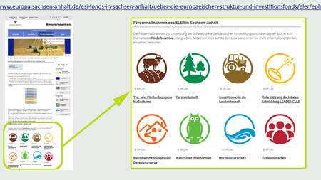 Screenshot von der EPLR Seite mit Vergrößerung des Piktogrammbereiches