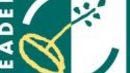 LEADER Logo